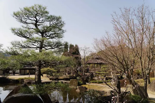 The garden with hill and pond (5)